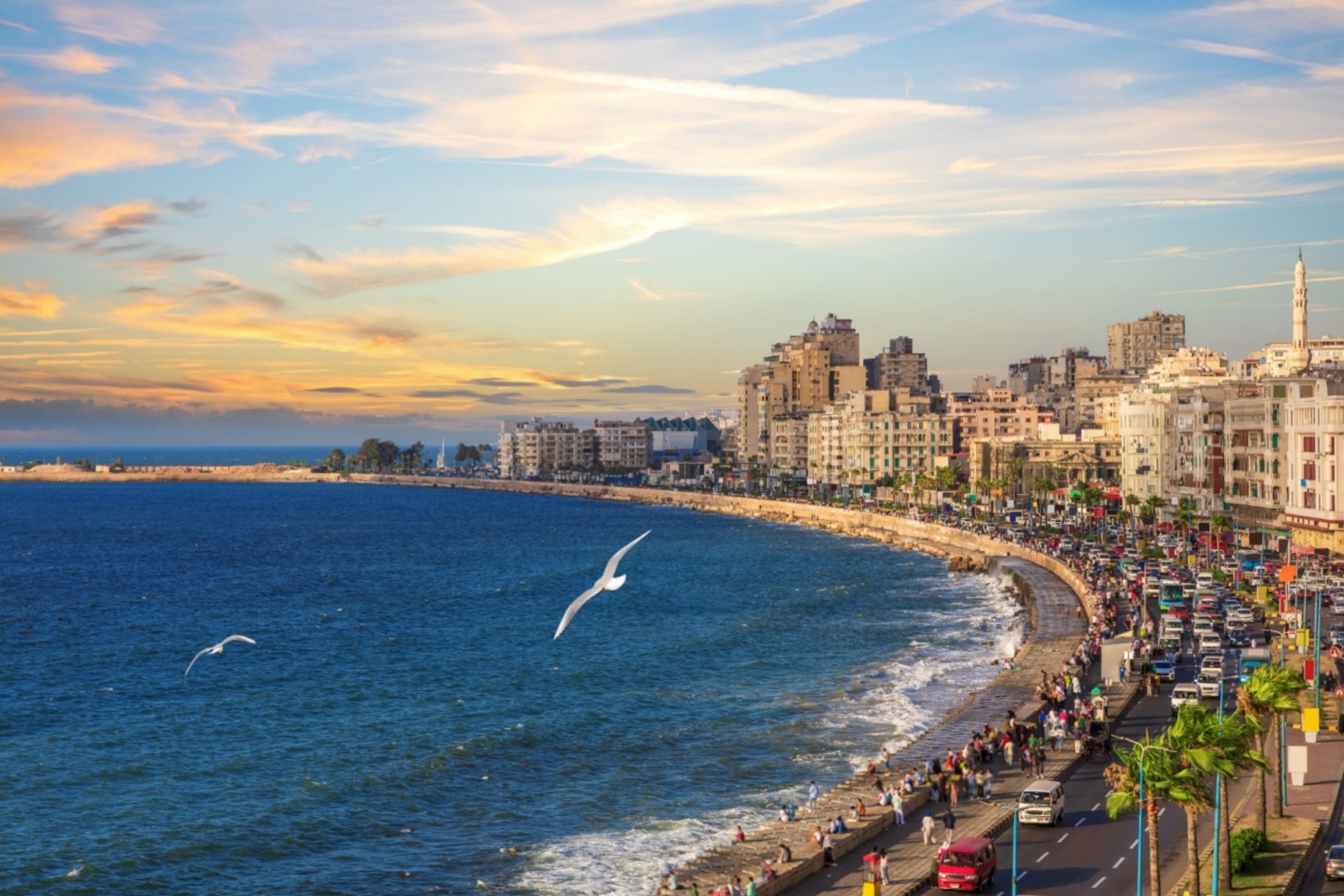 Alexandria Mediterranean Discovery