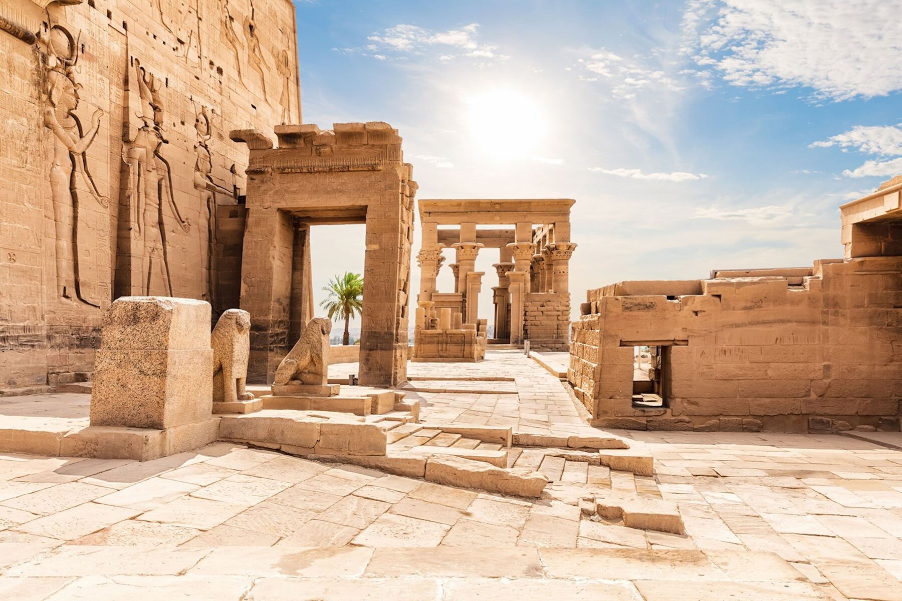 Aswan and Abu Simbel Discovery